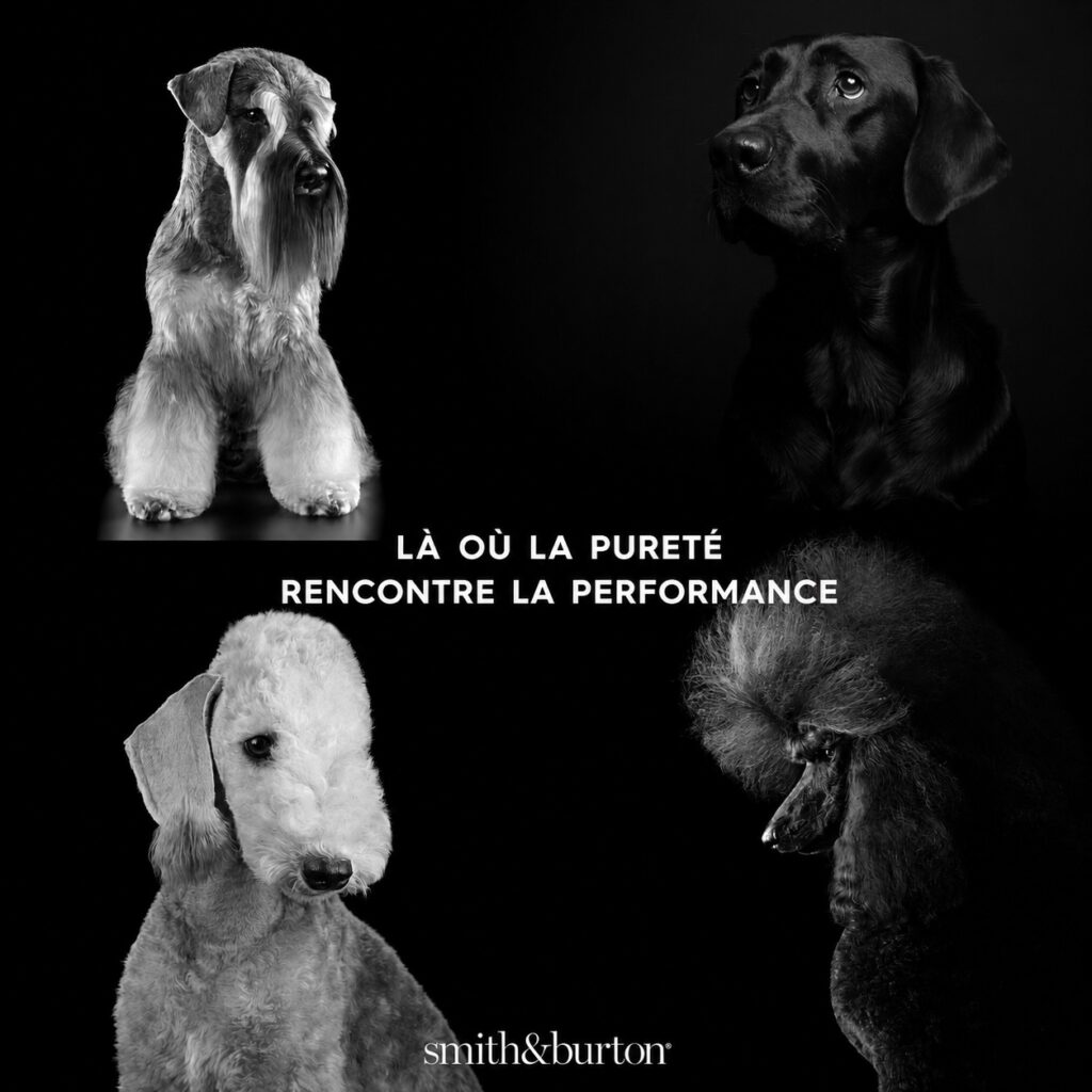 Shampoing Détoxifiant Protéiné