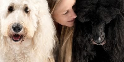 quel shampoing naturel chien? chien noir et blanc smith&burton, meilleur shampoing