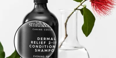 comprendre la formule de son shampoing pour chien